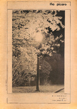 954_OBJ-Thumbnail Image.jpg